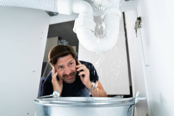 Best Local Plumber Services  in Elm Springs, AR