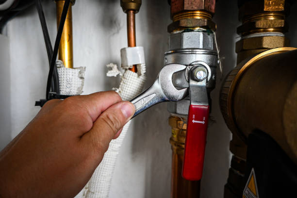 Best Plumbing Services Near Me  in Elm Springs, AR